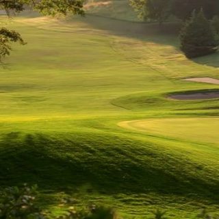 https://golfinvergroveheightsmn.com/wp-content/uploads/2025/08/photo1-320x320.jpg